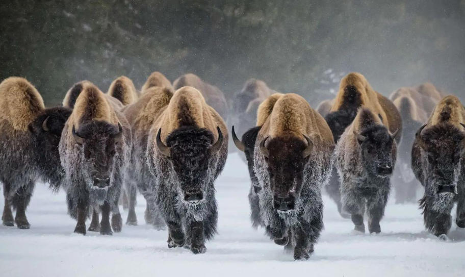 上海思诺智能科技有限公司轮播图1