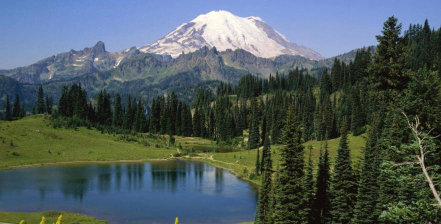 上海思诺智能科技有限公司轮播图4